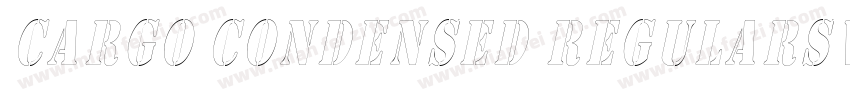 Cargo Condensed RegularSWFTE字体转换